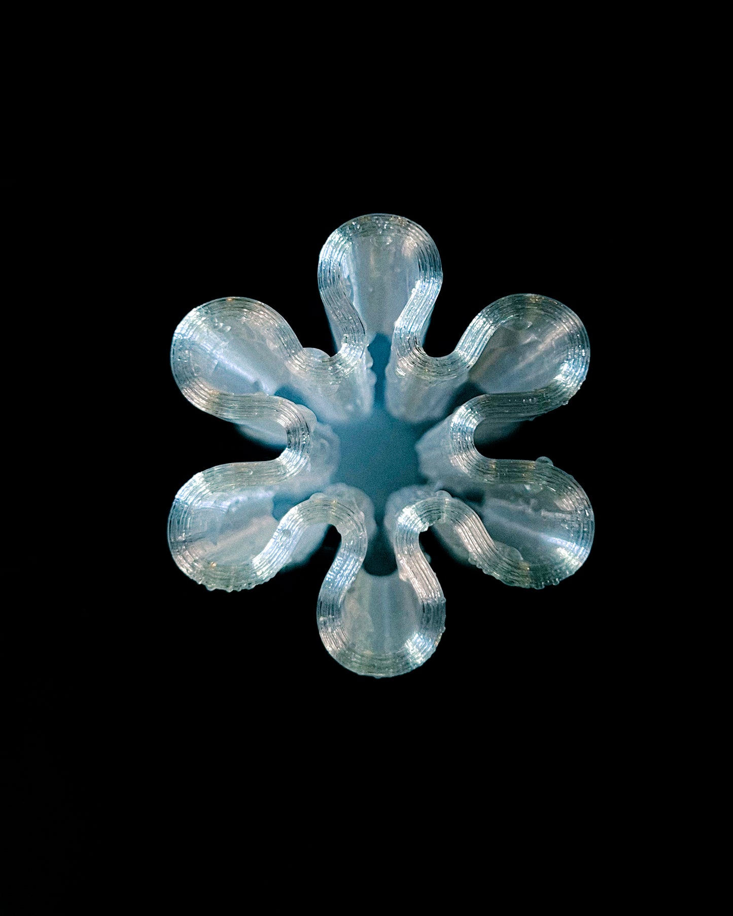 Starlily Bud Vase